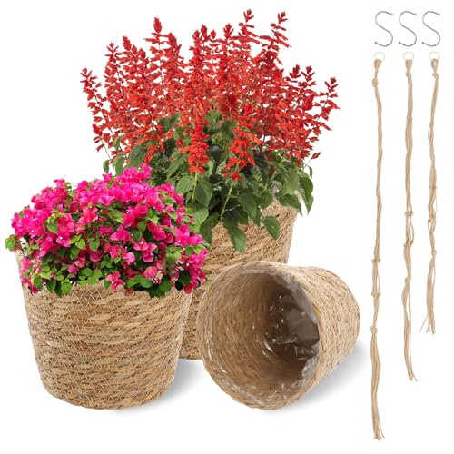 3 Pack Plant Basket for Indoor, Wicker Seagrass Plant Pots with Liner, Macrame Plant Hanger, Woven Natural Planter Baskets Outdoor for Flower, Balcony,Home