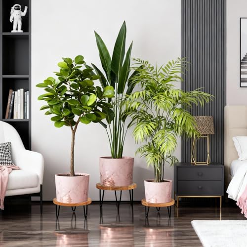 Wood Plant Stand, Wooden Round Plant Stand for Indoor Plants, Modern Plant Holder for Succulent Plant Nursery Pot Flower Pot Planter (Medium) - size: Medium