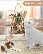 Bissap Rabbit Chew Toys, Natural Seagrass Hanging Basket Chews Water Plant Woven Bunny Chewing Treats for Guinea Pigs Chinchillas Hamsters Rats and Other Small Pets Teeth Grinding Toy - style: Classic