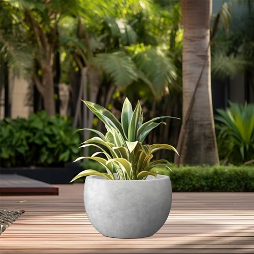Kante 11.8" Dia Round Concrete Planter, Outdoor/Indoor Large Bowl Plant Pots with Drainage Hole and Rubber Plug for Garden Patio Balcony Home, Natural Concrete - color: Natural Concrete, size: 11.8" d