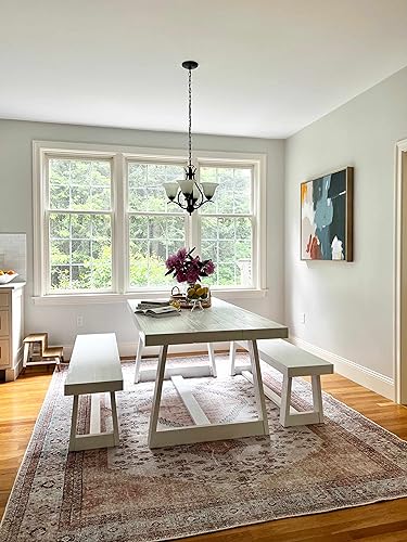 Hauteloom Stella Boho Vintage Small Area Rug - Farmhouse Traditional Medallion Carpet for Living Room, Bedroom - Machine Washable - Tan, Pink, Peach, Sage, Blue, Cream - 2' x 2'11" - color: Aqua, Black, Blush / Moora, size: 1'11" x 2'11" (Rectangular)