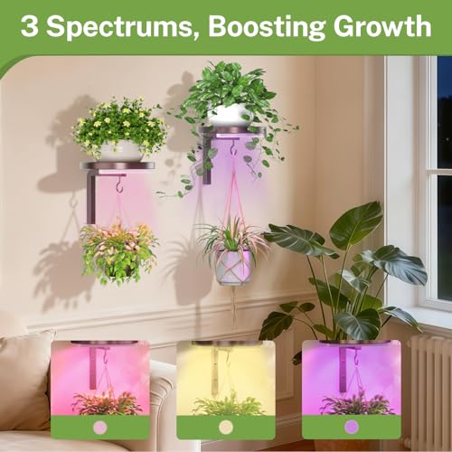 iDavosic.ly Wall Plant Holder with Grow Lights Set of 2 for Indoor Outdoor, Metal Hanger with 2 Hooks, Floating Flower Display Stand for Window, Space Saving & Easy to Assemble (Pots Not Included), Bronze - color: Bronze with Lights, size: 2 Pack
