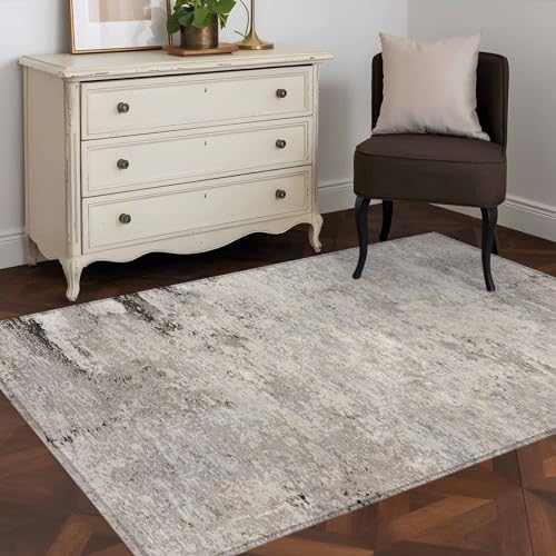 Vintage Grey Mottled Rectangle Area Rug 2.7'x5' Distressed Rough Surface Wall Texture Washable Rugs for Living Room, Non Slip Soft Carpet for Bedroom Entryway Dining Room - size: 2'8" x 5' (Rectangular)