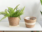 Seagrass Planter Basket Set With Plastic Lining Woven Storage Basket 7x6 In Indoor And Outdoor Plant Flowerpot Baskets Are Very Suitable For Flowerpot Covers. Natural Plant Containers (Small)