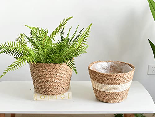 Seagrass Planter Basket Set With Plastic Lining Woven Storage Basket 7x6 In Indoor And Outdoor Plant Flowerpot Baskets Are Very Suitable For Flowerpot Covers. Natural Plant Containers (Small) - color: Small