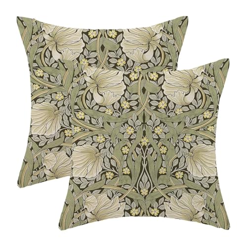 Spring Throw Pillow Covers 18x18 Set of 2, Sage Green Print Linen Decorative Pillow Covers Botanical Floral Outdoor Cushion Cover Vintage Flower Pillowcase for Sofa Couch Farmhouse Room - color: Spring Flower2, size: 18" x 18" (Pack of 2)