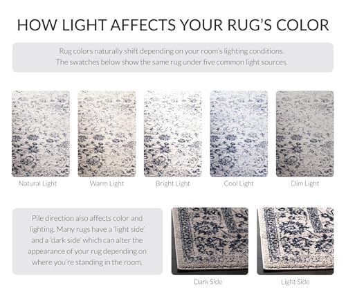 SAFAVIEH Adirondack Collection Accent Rug - 2'6" x 4', Grey & Navy, Distressed Vintage Floral Design, Non-Shedding & Easy to Clean, Ideal for Front Door, Kitchen, Entryway, Foyer (ADR109P) - color: Grey/Navy, size: 2'6" x 4' (Rectangular)