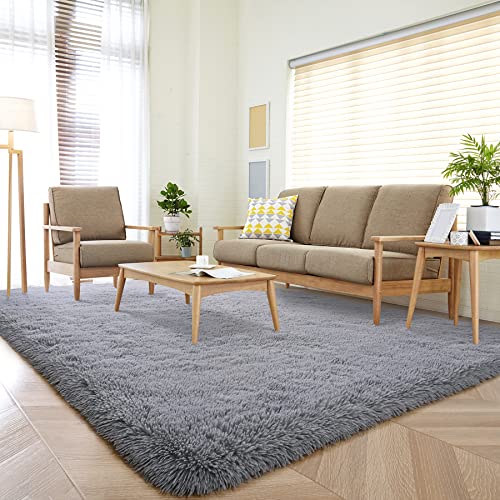 DETUM Grey Small Rug 2X3 Fluffy Rugs for Bedroom Kicthen Entryway Hallyway Washable Gray Area Rug Super Soft Throw Rug Room Decor Plush Rugs Kids Room Dorm - color: Grey, size: 2 x 3 feet