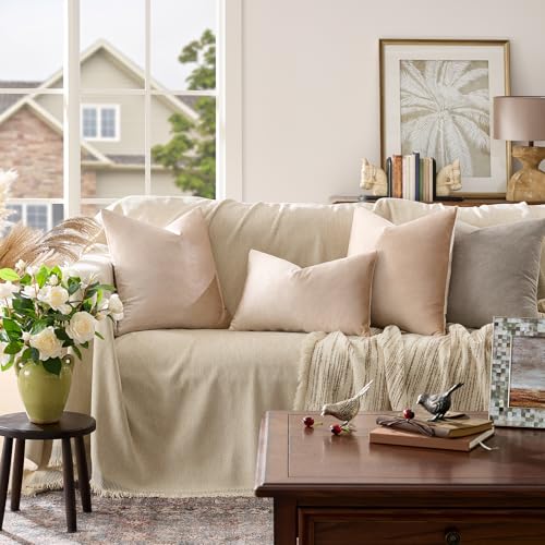 GIGIZAZA 22x22 Beige Pillow Covers: Pack of 2 Champagne Vintage Throw Pillows Super Soft Velvet Covers - Decorative Elegant Square Big Solid Cushion Covers Used for Couch,Living Room,Bedroom - color: Champagne, size: 22" x 22" (Pack of 2)