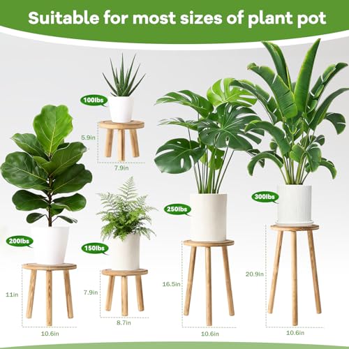 5-Pack Wood Plant Stands Indoor, Single Plant Stand for 6-22 Inch Pots, Mid-Century Modern Plant Stool, Tall Plant Stand for Large Plants Perfect Fit for Living Room, Balcony, Office (Light Brown) - color: Light Brown