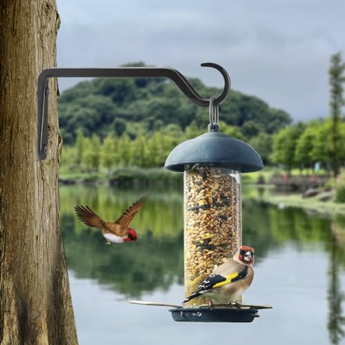 8 inch Plant Hanger, Sturdy Hanging Plant Bracket Outdoor, Hanging Plant Wall Hook Heavy Duty, for Hanging Bird Feeders, Planters, Lanterns, Wind Chimes, Indoor/Outdoor Use, Black, Set of 2 - color: Black, size: 8in-2-Black