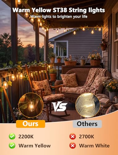 Abeja ST38 10Ft String Lights with 10 Clear Vintage Light Bulbs(1 Spare), E12 Scoket Base, UL Listed for Outdoor Indoor Party Porch Patio Decor, Black