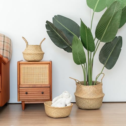 Seagrass Plant Basket with Handles Set of 3 - Woven Belly Basket Planter with Liner for Indoor Plants, Olive Tree, Monstera, Snake Plant, Faux Tree, 8" 9" 10" 12 Inch Pots, Boho Floor Basket