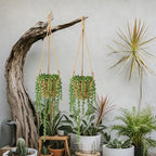 Giegxin Summer Mini Hanging Artificial Plant with Woven Basket Boho Fake Plants Ivy Faux Vines Eucalyptus Leaf for Indoor Home Wall Shelf Decor(6 Set,Green,Hanging Plant Basket) - size: Hanging Plant Basket