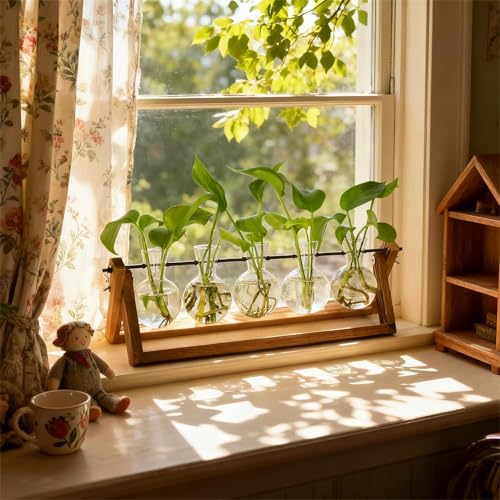 Renmxj Plant Propagation Stations with Wooden Stand & 5 Glass Bulb Vases | Plant Terrarium for Indoor Plants, Home Office Desk Decor, Gardening Gifts for Women Mom, Birthday Gifts for Plants Lovers - size: 5 Bulb Vase
