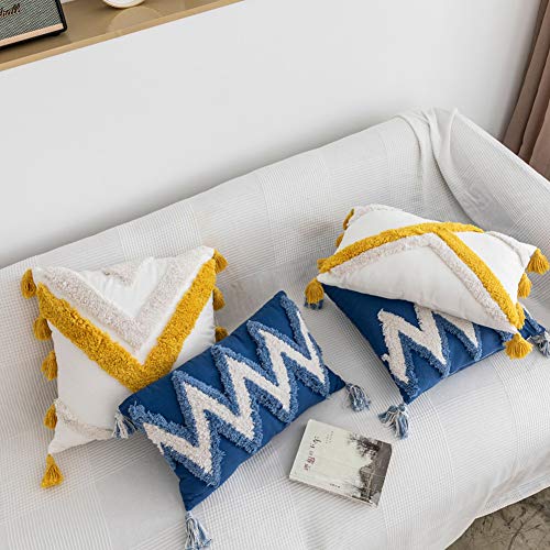 Geometric Embroidery Tufted Lumbar Throw Pillow Covers 12x20 Inch Farmhouse Cotton Canvas Woven Tufted Tassel Cushion Covers Home Decor (Blue,12"x20")