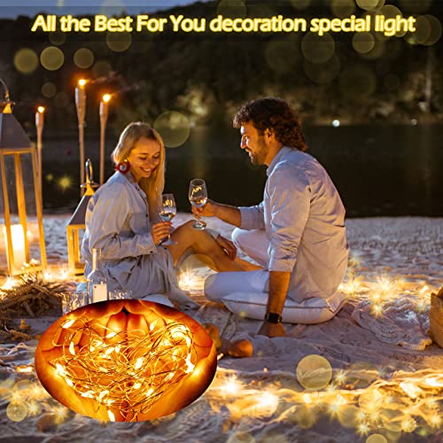 Hortsun 100 Packs Fairy Lights Battery Operated 3 Speed Modes, 7 Ft/ 2 M 20 LED Battery String Mini Waterproof Wire Twinkle Lights Bulk for Wedding Party Birthday Vases Decor (Warm White) - color: Warm White