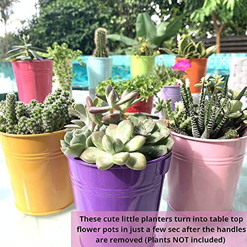 LaLaGreen Small Hanging Planters Outdoor - 10 Pack, 4 Inch Rainbow Planter Colorful Flower Pots Metal Iron, Rail Balcony Garden Deck Railing Plant Hanger Fence Wall, Herb Bucket Indoor Window Boxes - size: 4 Inch (Assorted)