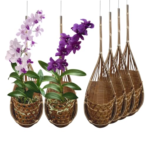 Handmade 100% Thai Bamboo Hanging Orchid Basket – 4 Inch Set of 6 - color: 4 Inch 6-pack