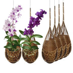 Handmade 100% Thai Bamboo Hanging Orchid Basket – 4 Inch Set of 6 - color: 4 Inch 6-pack