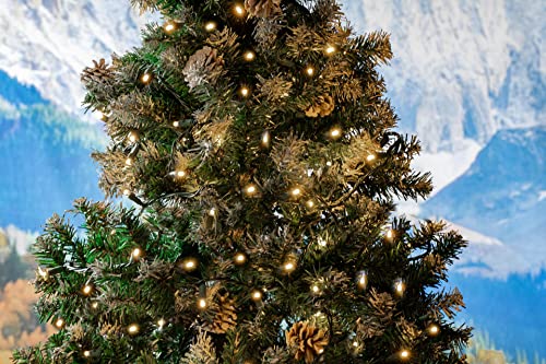 Novelty Lights 25ft 50 LED Sun Warm White Christmas Lights Outdoor/Indoor, 6" Spacing, Green Wire String Lights for Festive Xmas Lighting, IP55, UL Listed, Dimmable, Connectable - color: Sun Warm White