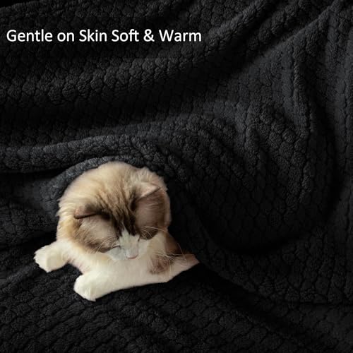 Exclusivo Mezcla Twin Size Fleece Blanket for Bed, Extra Soft Warm Decorative Fuzzy Blanket for Women, Lightweight Cozy Bedding Blankets, 60x80 Inches, Black - color: Black, size: Twin ( 60x80 IN )