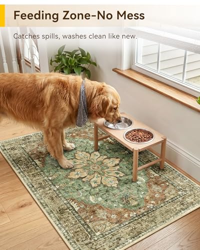 RELEANY Area Rugs Small 2'x3' Washable Non-Slip, Floral Vintage Distress Medallion Carpet for Kitchen Entryway Bathroom, Terracotta Burnt Orange Green - color: Brick/Brown/Green, size: 2' X 3' (Rectangular)