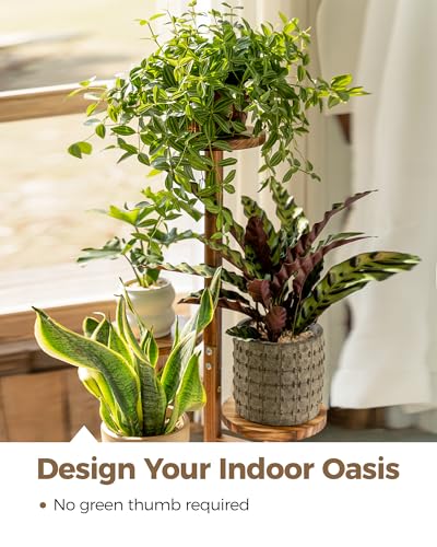 Bamworld Plant Stand Indoor 3 Tier Wood Plant Shelf for Multiple Plants, Tall Corner Plant Stand for Outdoor Round Flower Stand Plant Holder for Living Room Patio Garden Balcony