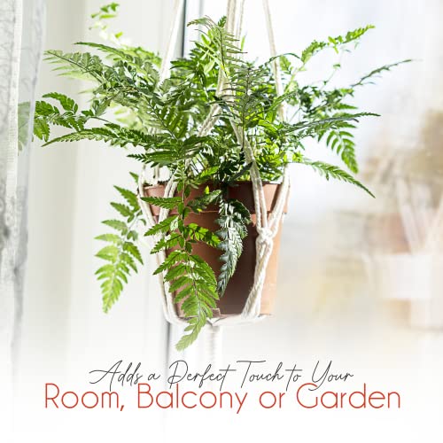 feedee Macrame Plant Hangers Indoor Macrame Hanging Planters for Indoor Plants, 6 Pack Hanging Plant Holders Indoor Hanging, Macromay Plant Hangers for Indoor Plant Hanger, Outdoor Flower Pots Holder - color: Ivory, size: Pack of 6