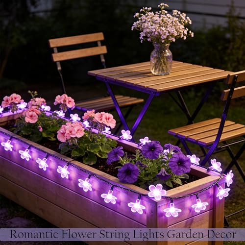 Purple Flower Fairy String Lights on Black Wire, Plug in Connectable 33FT 100 LED Waterproof with 8 Modes for Indoor Outdoor Christmas, Valentine's Day, Wedding Party & Patio Balcony Ambiance - color: Purple Flower-Black Wire