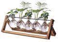 Kingbuy Plant Propagation Station with 5 Bulb Vases Retro Wooden Stand Desktop Glass Planter Terrarium for Hydroponics Plants Home Office Décor - size: 5 Bulb Vase