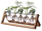 Kingbuy Plant Propagation Station with 5 Bulb Vases Retro Wooden Stand Desktop Glass Planter Terrarium for Hydroponics Plants Home Office Décor - size: 5 Bulb Vase