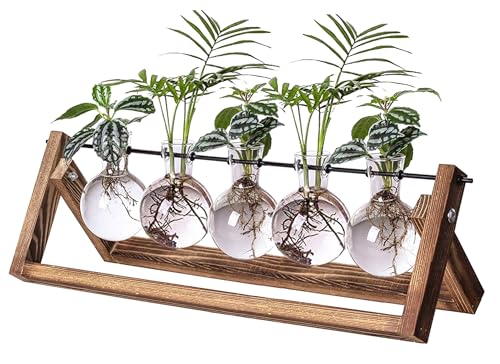 Kingbuy Plant Propagation Station with 5 Bulb Vases Retro Wooden Stand Desktop Glass Planter Terrarium for Hydroponics Plants Home Office Décor - size: 5 Bulb Vase