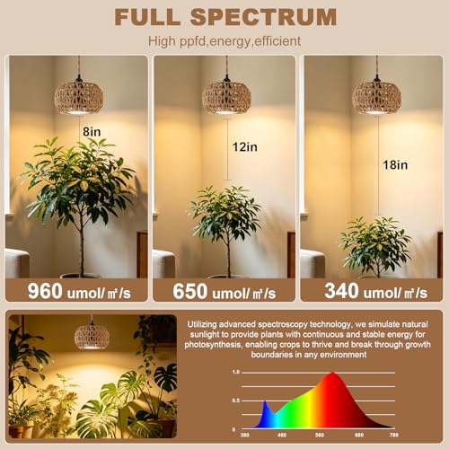 Hanging Grow Light, 30W LED Lamp with Timer for Indoor Plants | 4000K LED plant lamp with 15 ft cord, outlet timer, and boho paper rope shade for succulents, herbs, and low-light rooms. - color: Lantern
