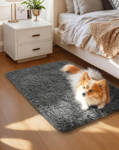Ophanie Small Rug Washable Non Slip Throw Bedside Area Rugs, Fluffy Soft Mini Bedroom Carpet, Door Entryway Indoor Inside Front Entrance 1.5x2.5 Mat, Home Decor Aesthetic, Grey - color: 1- Grey, size: 1.5' x 2.5' (Rectangular)