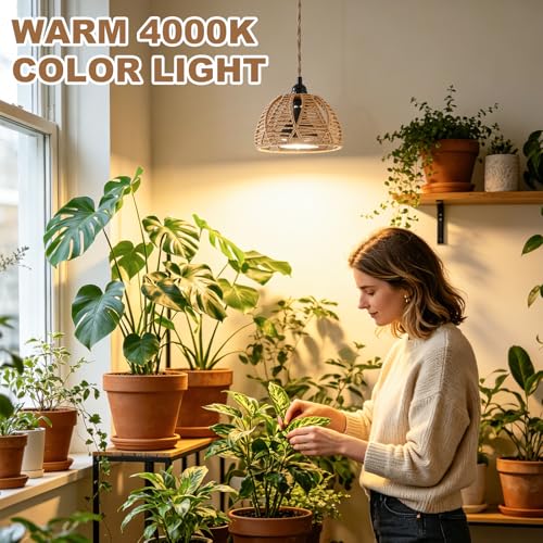 Hanging Grow Light, 30W LED Lamp with Timer for Indoor Plants | 4000K LED plant lamp with 15 ft cord, outlet timer, and boho paper rope shade for succulents, herbs, and low-light rooms. - color: Cage