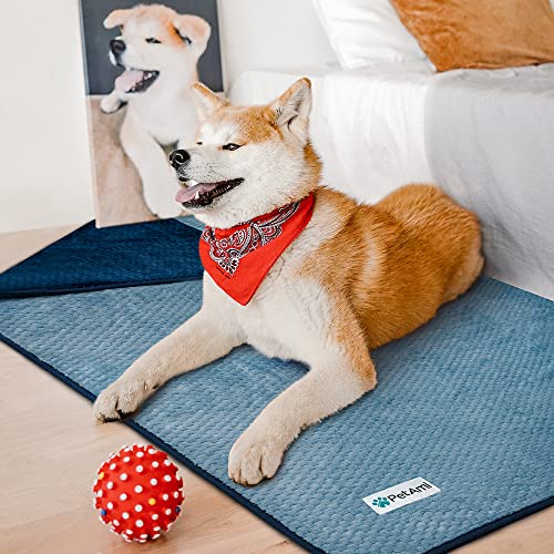 PetAmi Waterproof Dog Blanket, Leakproof Puppy Blanket for Small Medium Dogs, Furniture Sofa Couch Cover Protector, Fleece Pet Throw Indoor Cat Kitten, Reversible Washable Soft Plush, 29x40 Navy Blue - color: Navy/Blue, size: Medium (29x40)