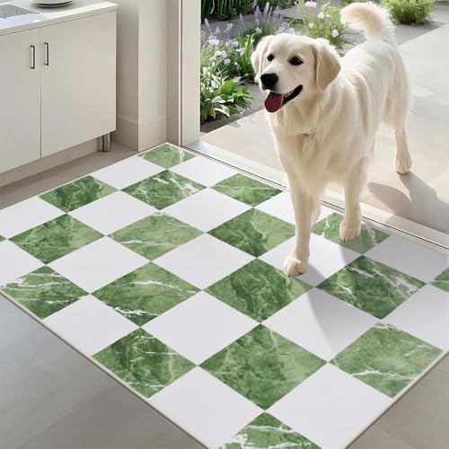 Yinhua Checkered Rug 2x3, Green and White Entryway Rug Washable Area Rugs for Entryway, Classic Geometric Non Slip Door Mat Soft Low Pile Throw Rugs Marble Small Carpet for Foyer Porch Doorway Bedside - color: Sage Green & White, size: 2x3 ft