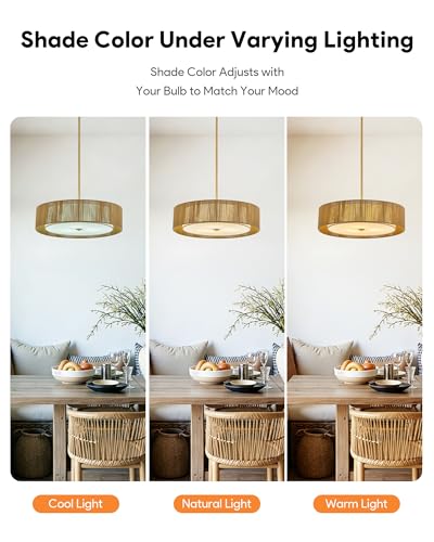 VONLUCE 20" Boho Rattan Chandelier, 4-Light Drum Chandelier with 2-Tier Woven Lampshade, Rattan Ceiling Light for Dining Room Bedroom Living Room with E26 Sockets, Gold Finish, ETL Certified - color: Gold, size: 20inch