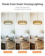 VONLUCE 20" Boho Rattan Chandelier, 4-Light Drum Chandelier with 2-Tier Woven Lampshade, Rattan Ceiling Light for Dining Room Bedroom Living Room with E26 Sockets, Gold Finish, ETL Certified - color: Gold, size: 20inch