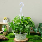 DOITOOL 30PCS Hanging Basket Chains 15.33''+14.15''+9.24Inch Plant Chains with Hooks Replacement Plant Hangers 3 Different Sizes Plastic Hangers for Hanging Baskets Bird Feeders,Planters,Lanterns