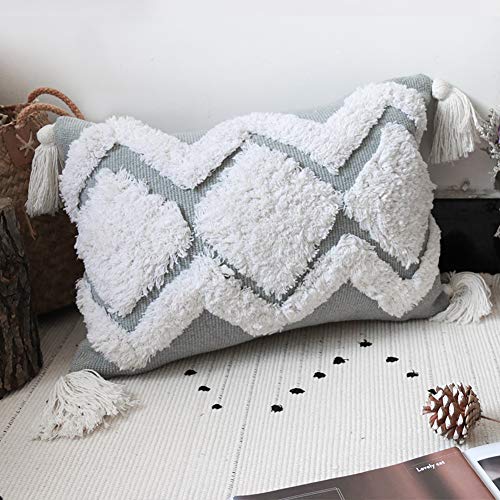 LEVINIS Grey Lumbar Throw Pillow Covers 12 x 20 with Tassels, Boho Decorative Throw Pillow Case for Couch Sofa Bedroom Living Room Car, Modern Farmhouse Decor - color: Grey White, size: 20" x 12" (Pack of 1)