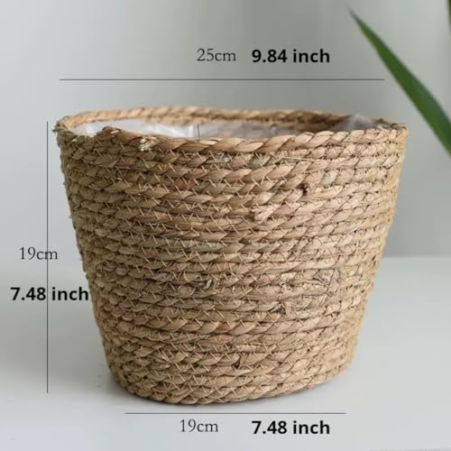 10 inch Seagrass Planter Basket – Woven Basket with Plastic Lining for Plants, Flower Pot Cover, Storage Organizer for Indoor Plants, Rustic Home Decor, Farmhouse Wicker Planter - size: 9.8"x7.5"