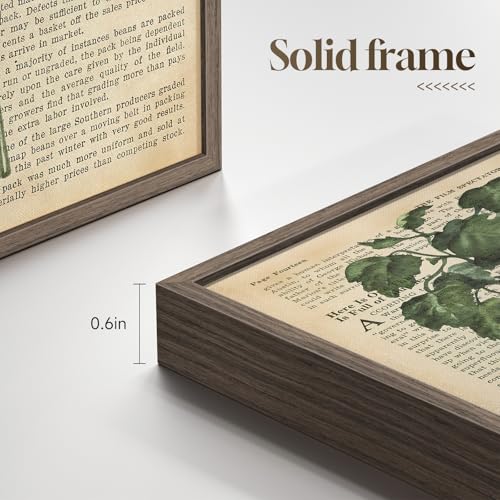 Framed Vintage Botanical Wall Art, Set of 6 Green Leaf and Fern Canvas Painting Prints, Rustic Farmhouse Plant Artwork for Living Room Bedroom Kitchen Dining Room Office Apartment Decor, 11x14 Inch - color: Retro Ferns - Walnut Framed, size: 11" W x 14" H