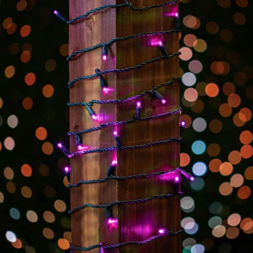 Novelty Lights 25ft 50 LED Pink Christmas Lights Outdoor/Indoor, 6" Spacing, Green Wire String Lights for Festive Xmas Lighting, IP55, UL Listed, Dimmable, Connectable - color: Pink