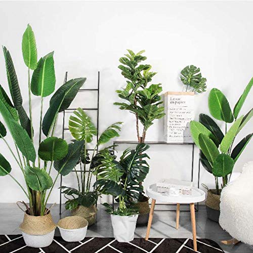 Seagrass Plant Basket with Handles Natural Woven Storage Baskets (White L(9.5" D x 11" H)) - color: White, size: L(9.5" D x 11" H)