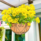 LaLaGreen Hanging Baskets for Plants (16 Inch, 4 Pack) Extra Large Hanging Flower Pot with Coco Liner Black Metal Wire Round Plant Holder with Hanger Hook Chain Outdoor Patio Deck Balcony Garden Decor - size: 16" x 4 Pack