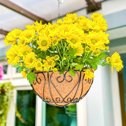 LaLaGreen Hanging Baskets for Plants (16 Inch, 4 Pack) Extra Large Hanging Flower Pot with Coco Liner Black Metal Wire Round Plant Holder with Hanger Hook Chain Outdoor Patio Deck Balcony Garden Decor - size: 16" x 4 Pack