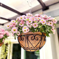 LaLaGreen Hanging Baskets for Plants (14 Inch, 6 Pack) Hanging Flower Pots with Coco Liner, Black Metal Wire Round Basket Plant Holder with Hanger Hook Chain, Outdoor Patio Deck Balcony Garden Decor - size: 14" x 6 Pack