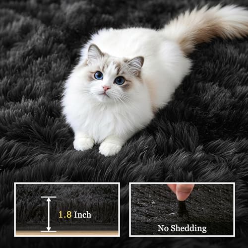 Fluffy 4x6 Area Rugs for Living Room Bedroom: Ultra Soft Shag Rug Non-Slip Non-Shedding Small Plush Bedside Rug Indoor Floor Carpets for Kids Room Playroom Entryway Nursery Dorms Home Decor Black - color: Black, size: 4' x 6' (Rectangular)